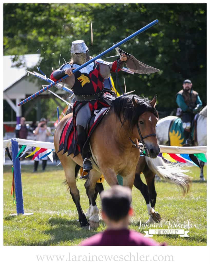 2017 Market of the Moons - Massachusetts Renaissance Faire